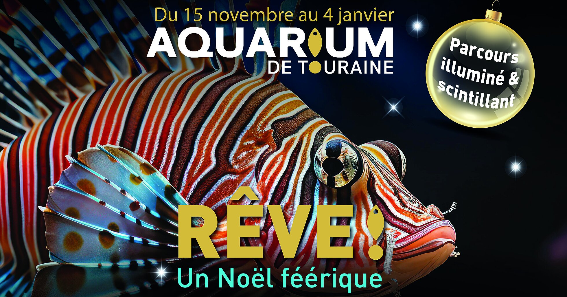Visuel Noel Aquarium