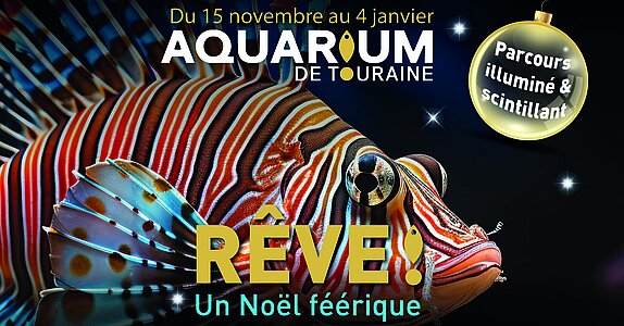 Noël à l'Aquarium