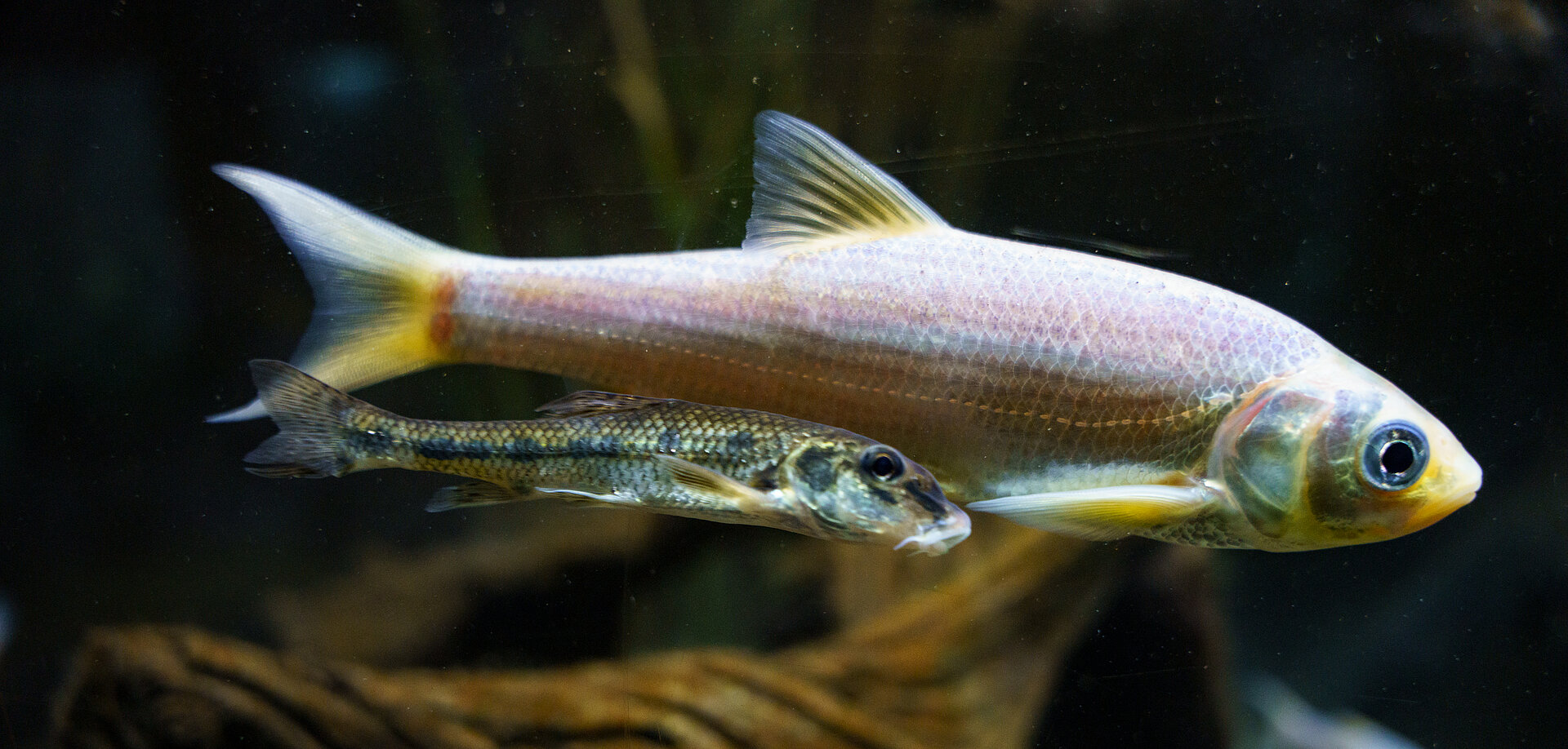 Tarifs et réservations