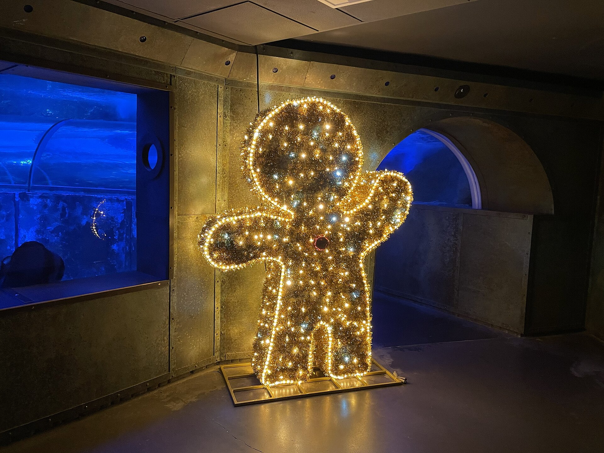 Photo illuminations aquarium