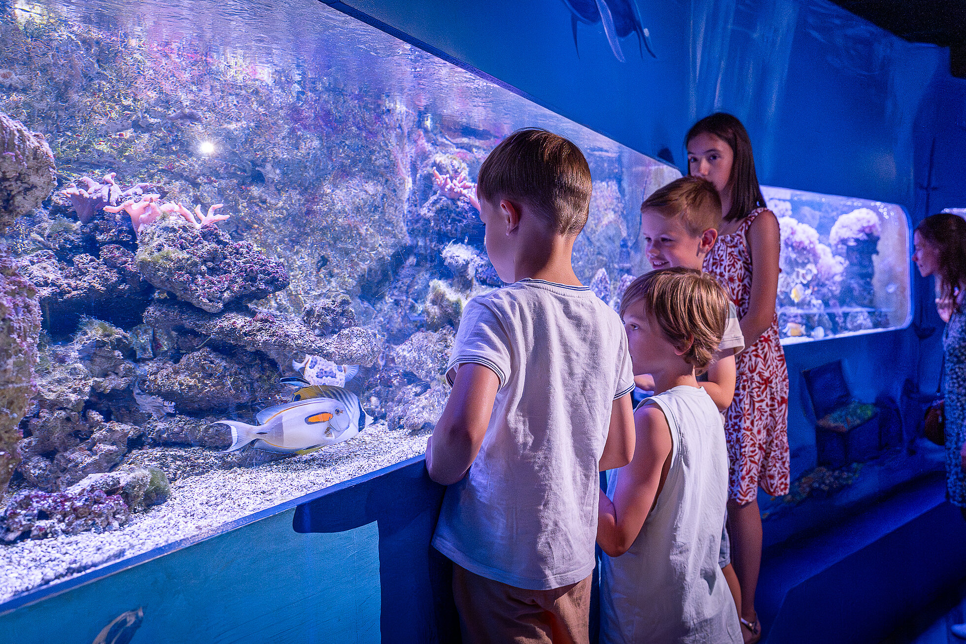 Enfants aquarium