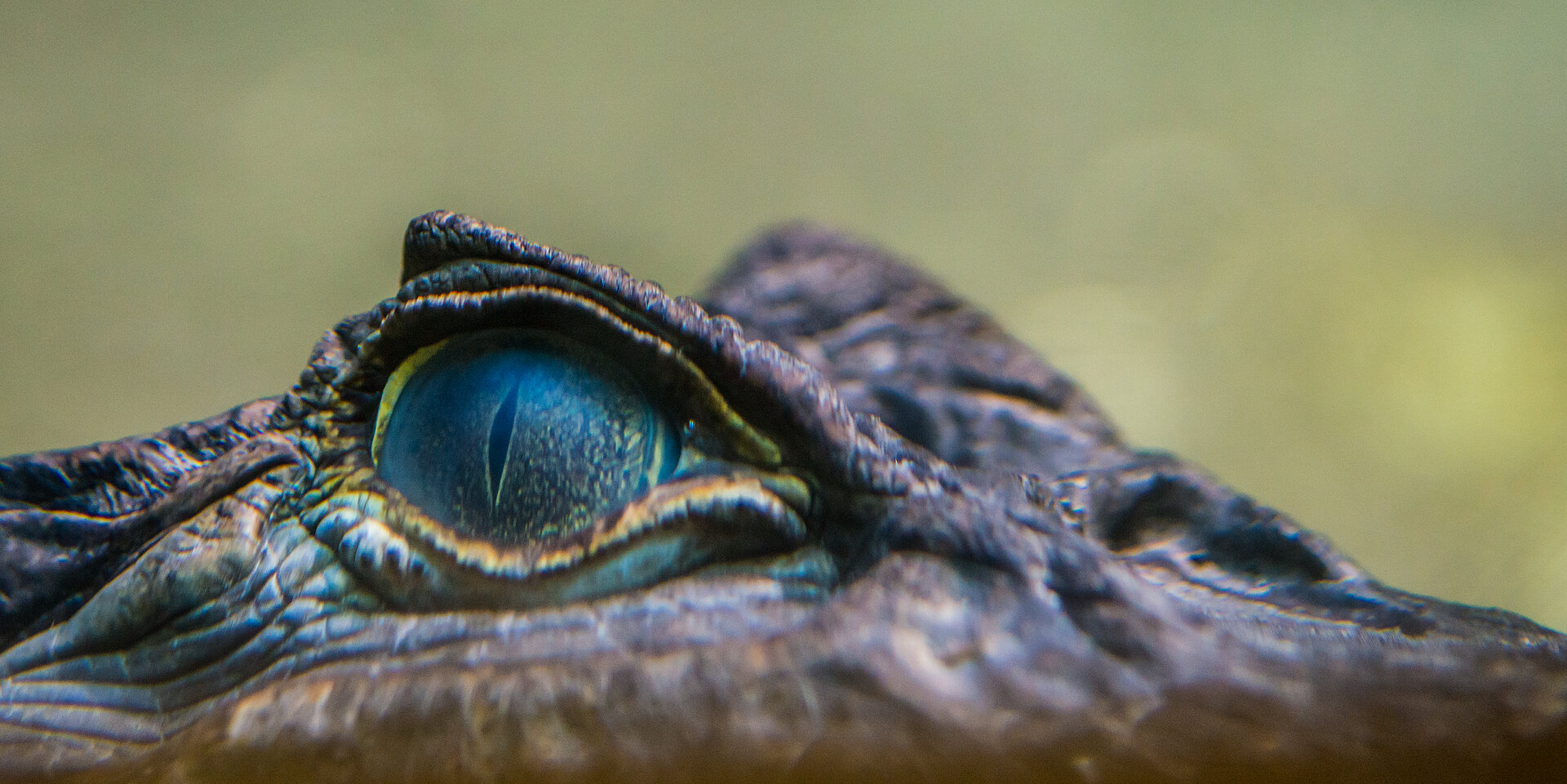 Calendrier et horaires 