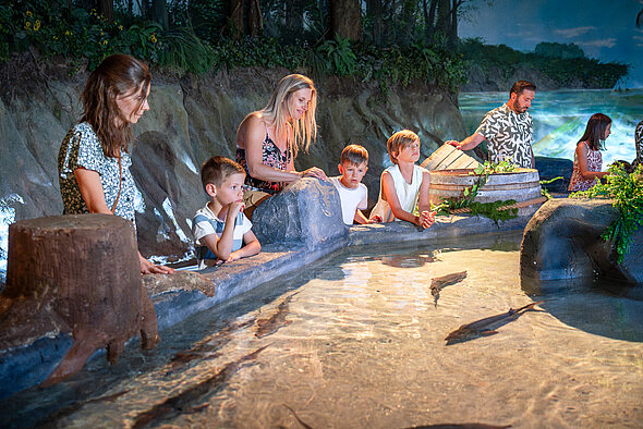 Famille aquarium