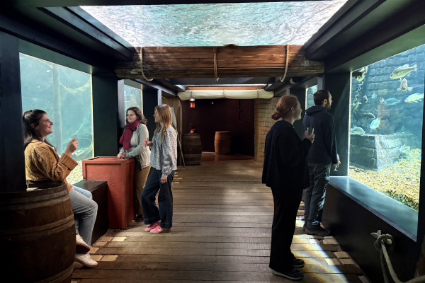 Visuel aquarium