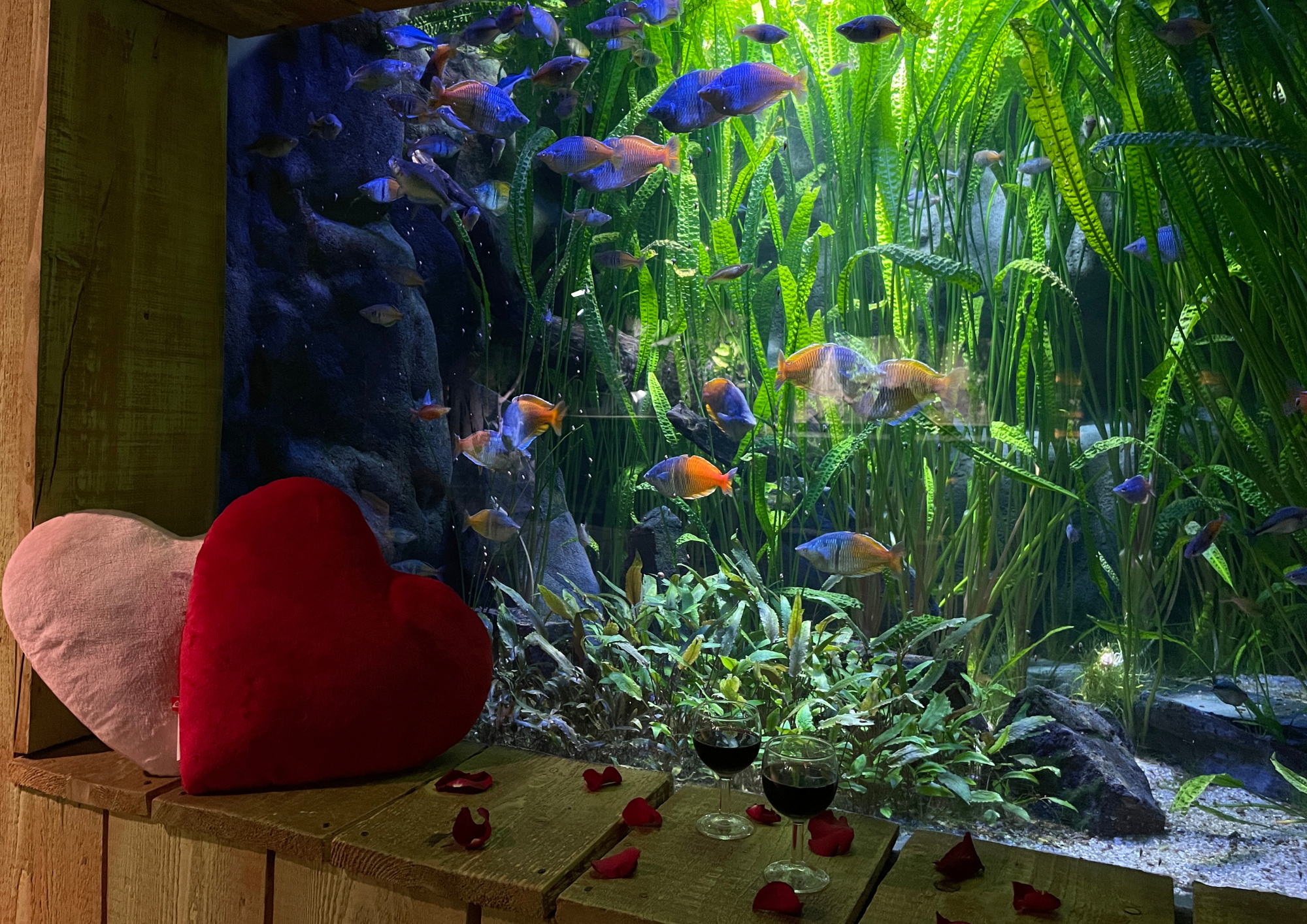 Visuel saint valentin